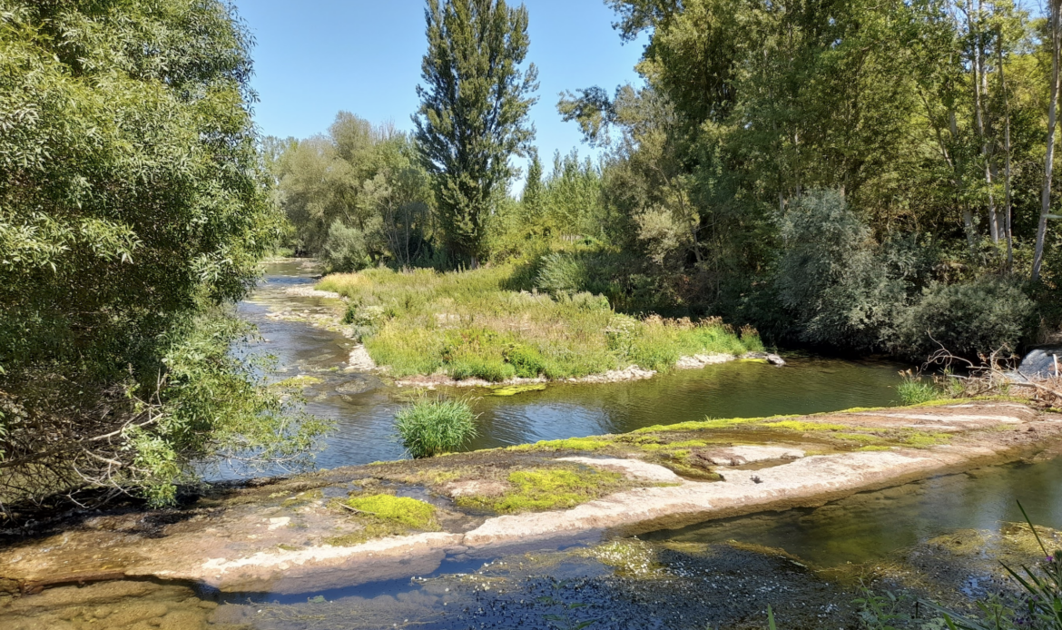 medioambiente